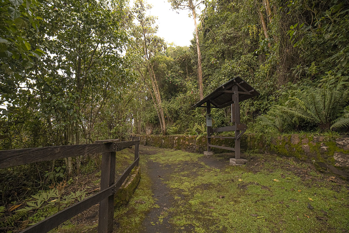 596_Monserrate-Sendero_Paramuno_26112021_Ricardo_Báez_13_