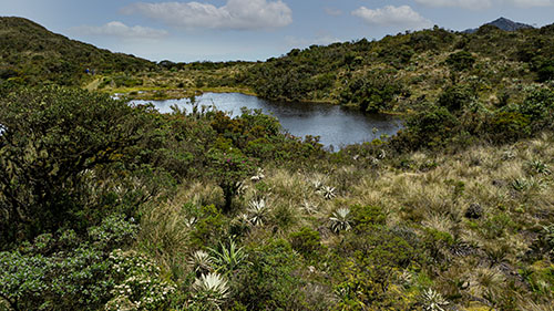 245_Parque Agroturístico Los Soches _Ricardo_lmeixo