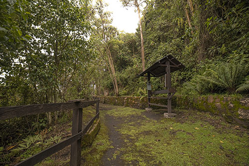 596_Monserrate-Sendero_Paramuno_26112021_Ricardo_Báez_13_